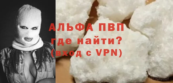 сатива Козловка