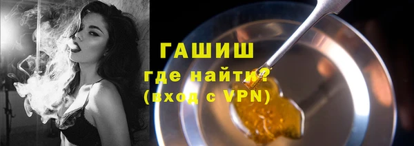 стаф Кодинск