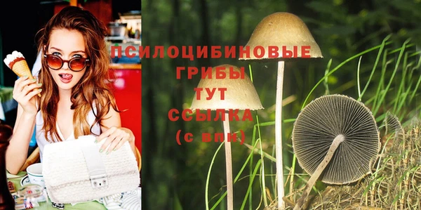 молекула духа Костерёво